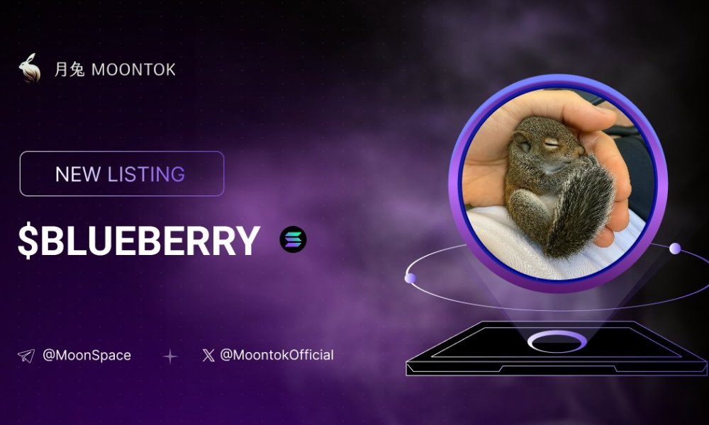 Blueberry Memecoin 