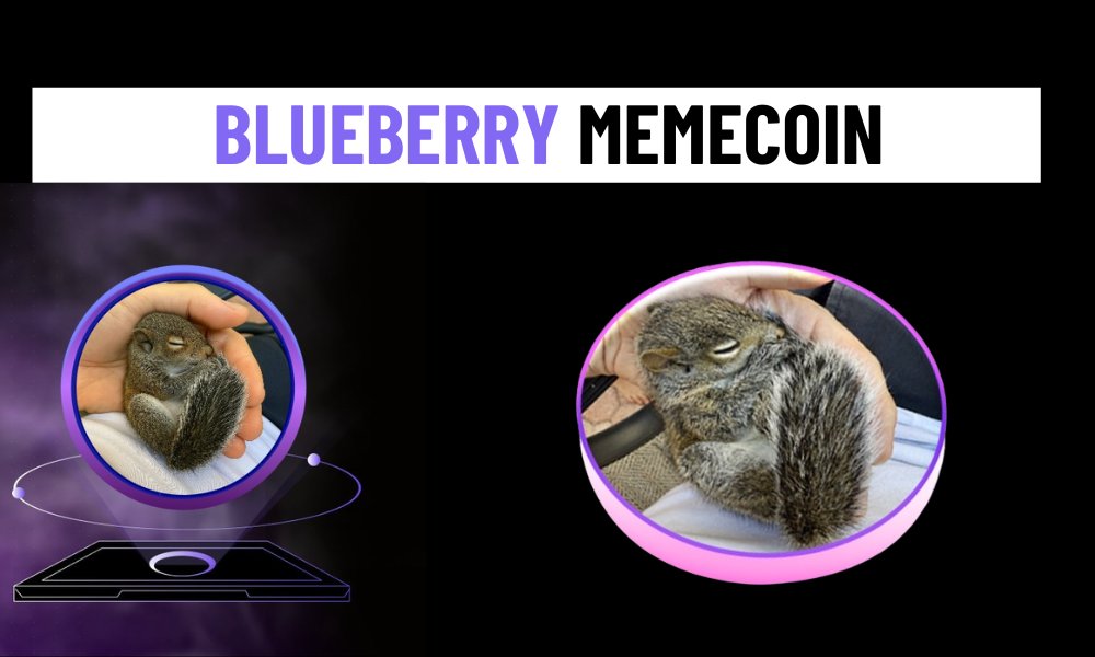 Blueberry Memecoin