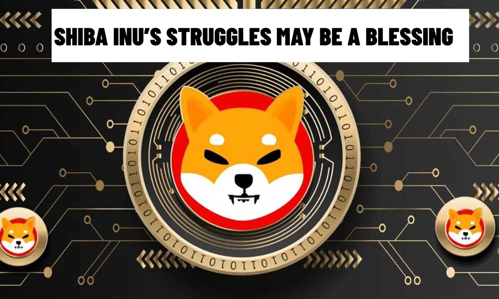Shiba Inu’s Struggles May Be a Blessing (1)
