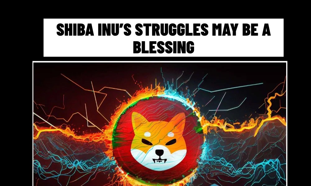 Shiba Inu’s Struggles May Be a Blessing (1)
